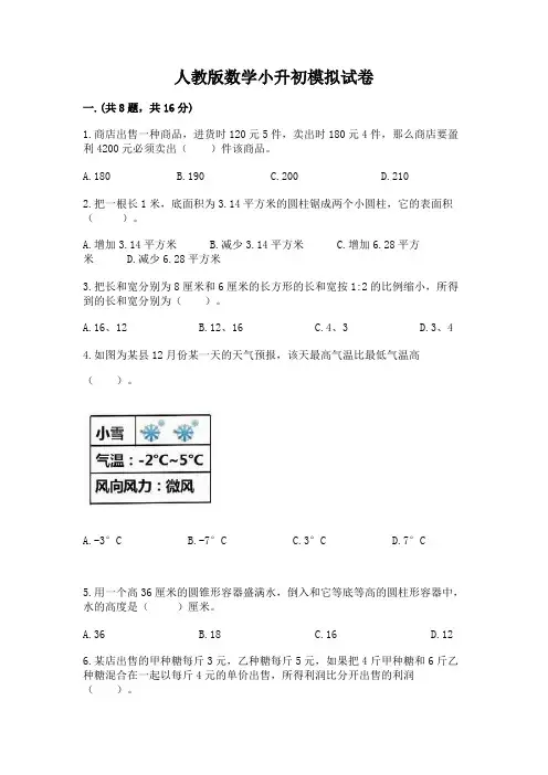 人教版数学小升初模拟试卷及答案(名校卷)