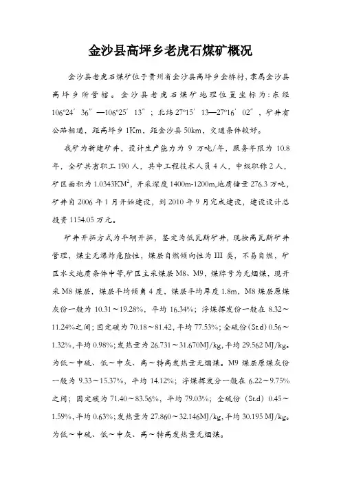 老虎石煤矿概况