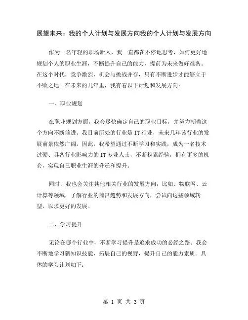 展望未来：我的个人计划与发展方向