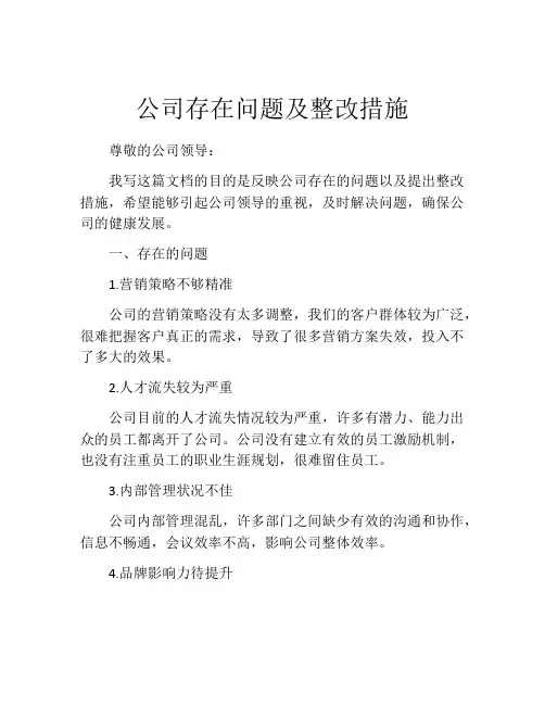 公司存在问题及整改措施