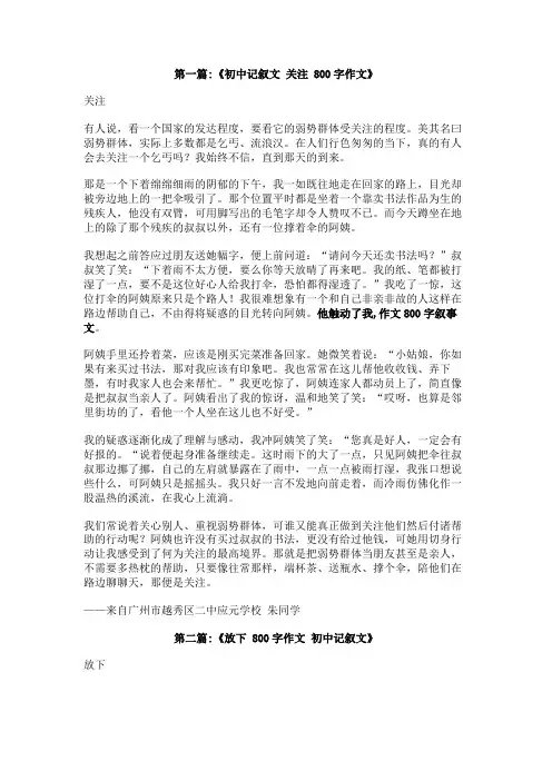他触动了我作文800字叙事文