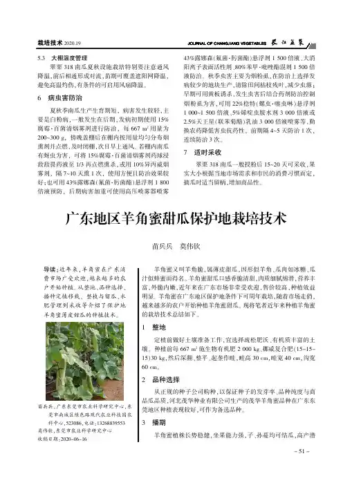 广东地区羊角蜜甜瓜保护地栽培技术