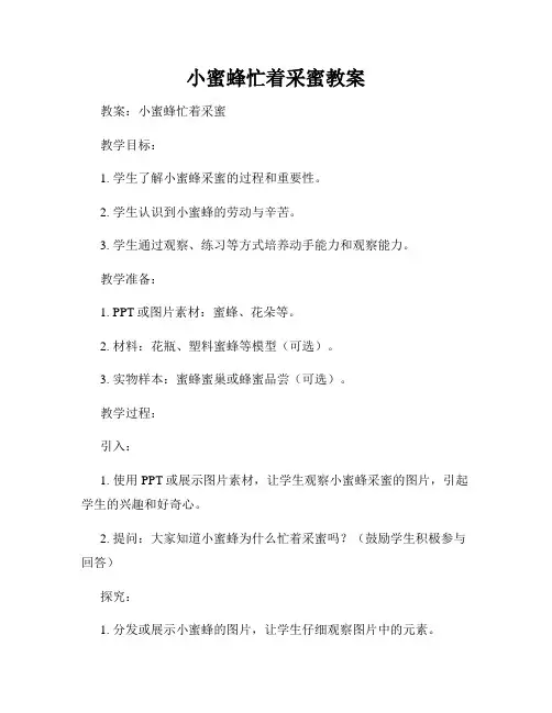 小蜜蜂忙着采蜜教案