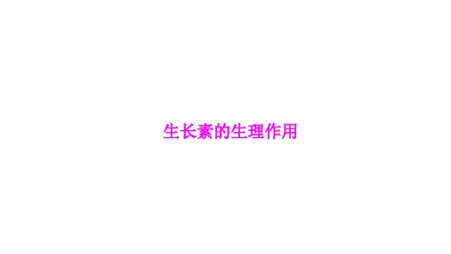 生长素的生理作用   课件
