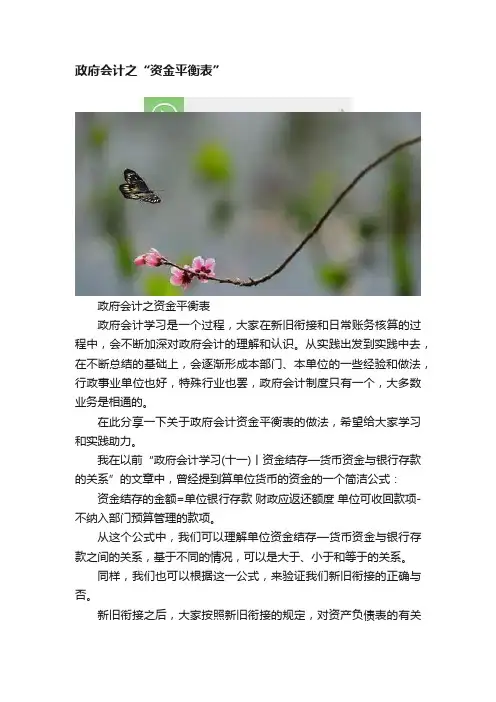 政府会计之“资金平衡表”