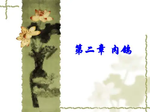 第二章 肉鸽