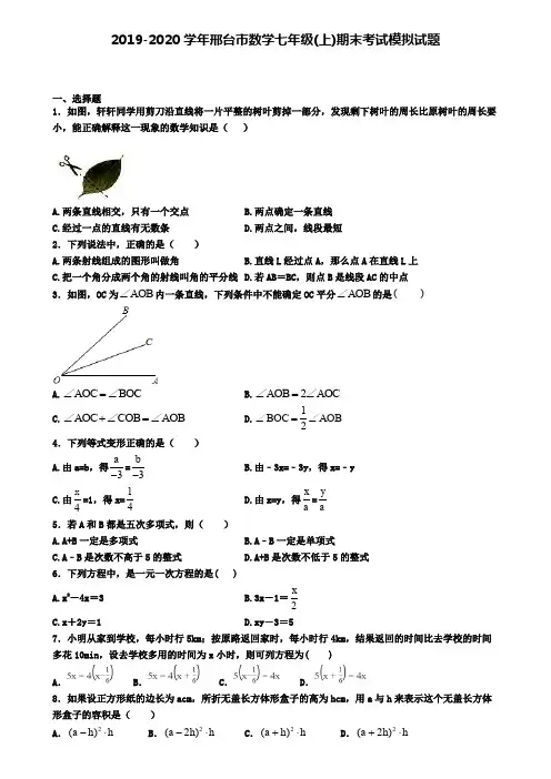2019-2020学年邢台市数学七年级(上)期末考试模拟试题