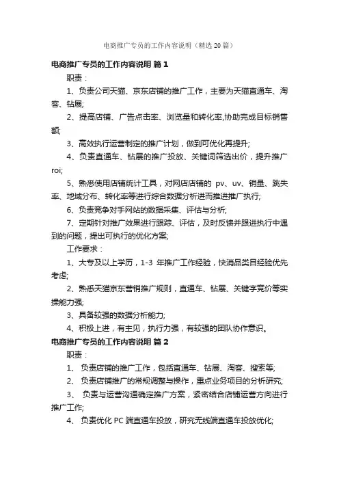 电商推广专员的工作内容说明（精选20篇）