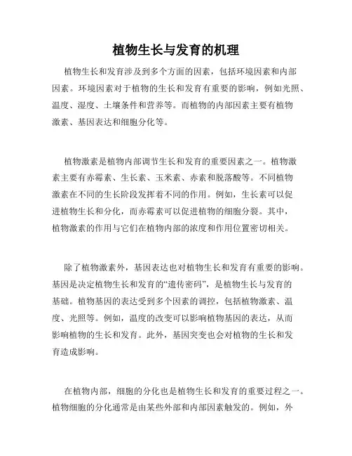 植物生长与发育的机理