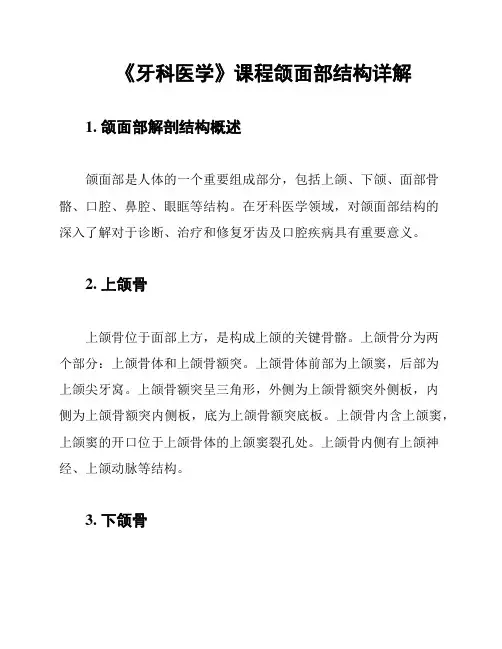 《牙科医学》课程颌面部结构详解