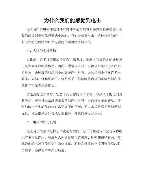 为什么我们能感觉到电击