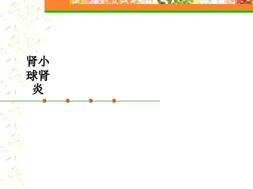 肾小球肾炎PPT课件
