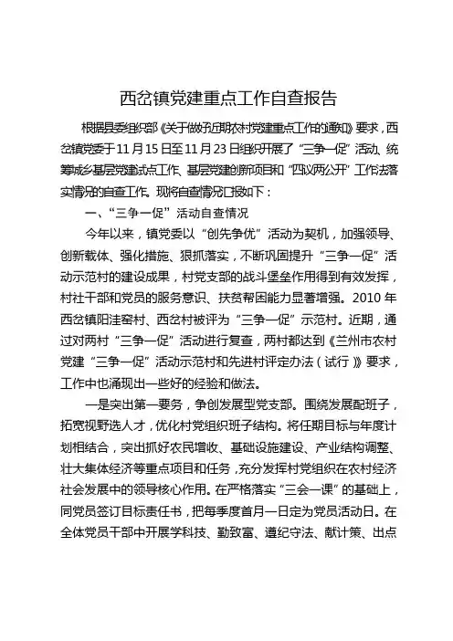 关于做好党建重点工作的自查报告