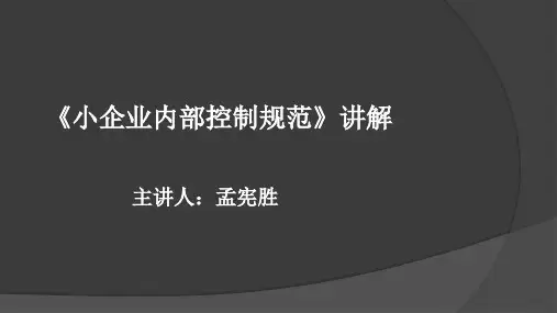 小企业内部控制规范