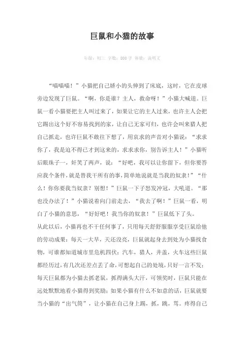 巨鼠和小猫的故事800字作文
