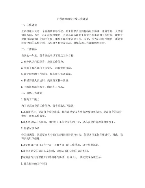 正科级组织员年度工作计划