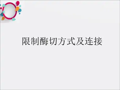 限制性酶切方式及连接