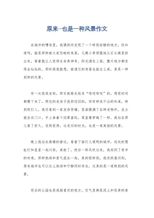 原来…也是一种风景作文