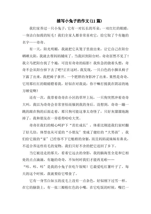 描写小兔子的作文(11篇)精选