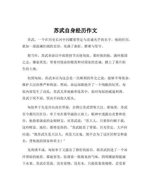 苏武自身经历作文