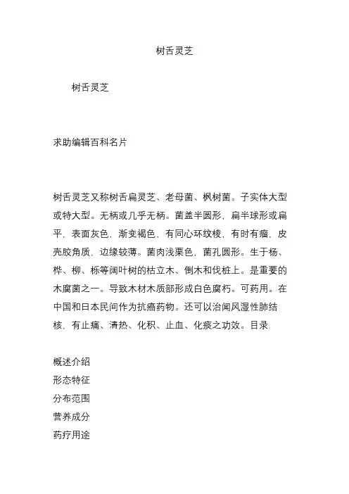 树舌灵芝