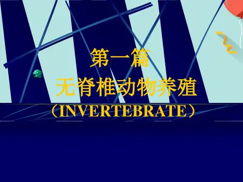 河蚌的养殖实用PPT资料