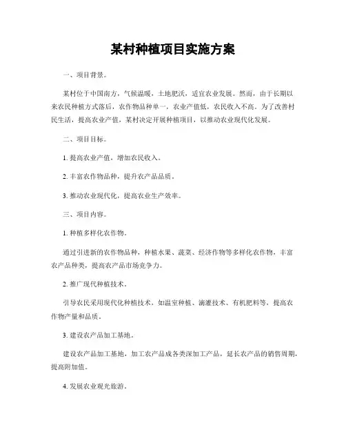 某村种植项目实施方案