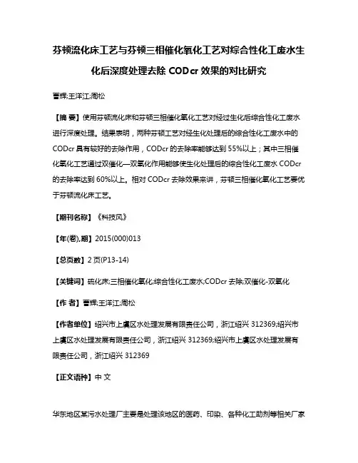 芬顿流化床工艺与芬顿三相催化氧化工艺对综合性化工废水生化后深度处理去除CODcr效果的对比研究