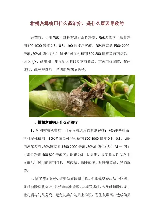 柑橘灰霉病用什么药治疗,是什么原因导致的