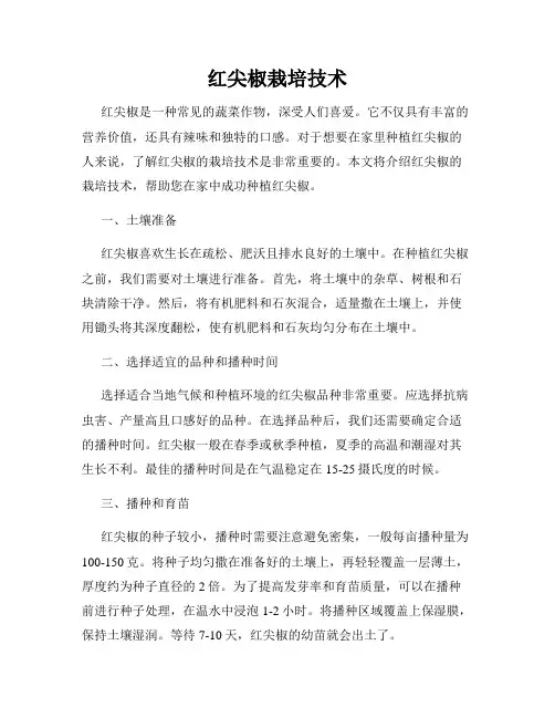 红尖椒栽培技术