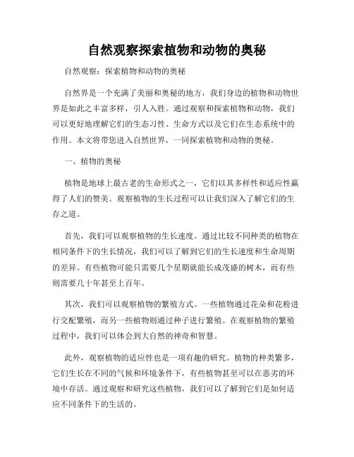 自然观察探索植物和动物的奥秘
