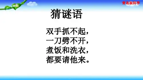 【名师课件】青岛版一年级上册科学 第12课《认识水》ppt课件1