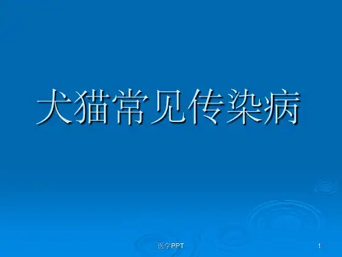 《小动物常见传染病》PPT课件