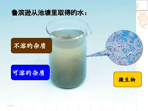 水的净化方法