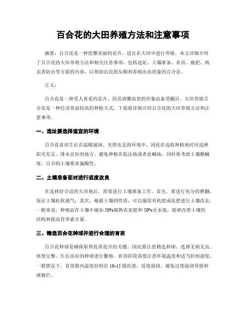 百合花的大田养殖方法和注意事项