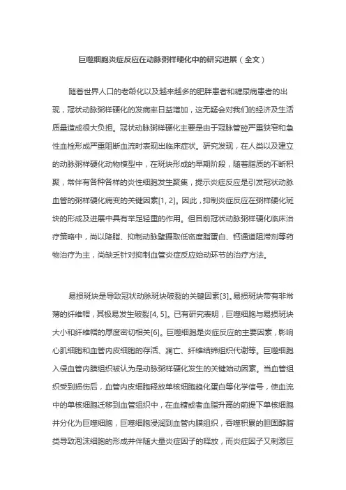 巨噬细胞炎症反应在动脉粥样硬化中的研究进展(全文)