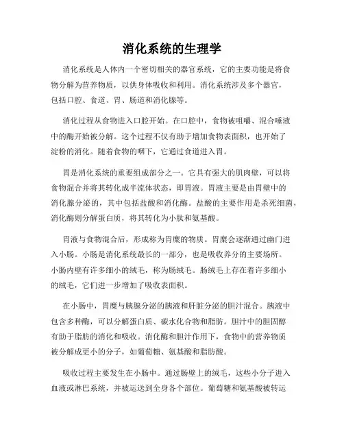 消化系统的生理学