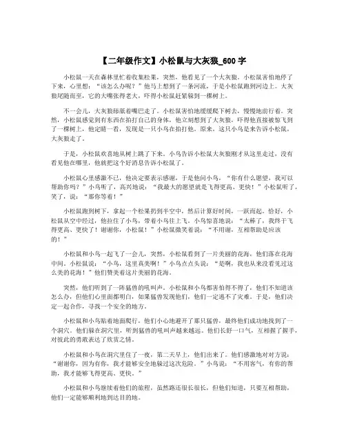 【二年级作文】小松鼠与大灰狼_600字
