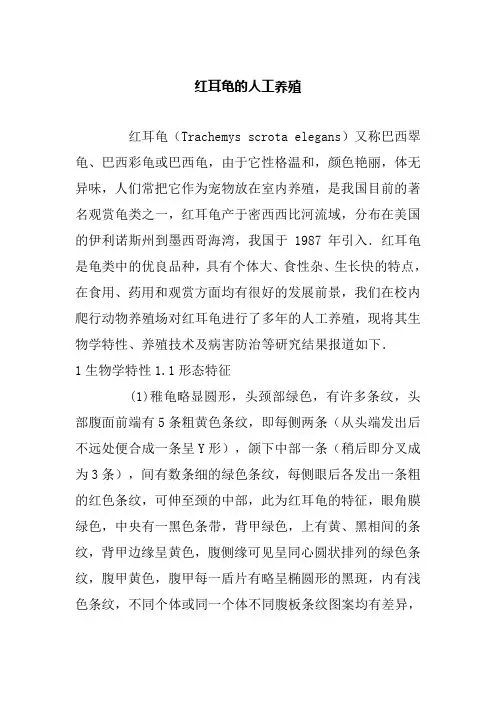 红耳龟的人工养殖