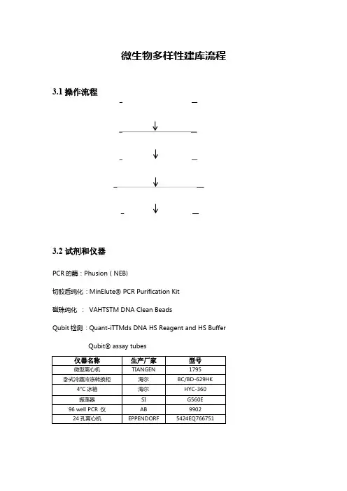 瘤胃微生物多样性建库流程