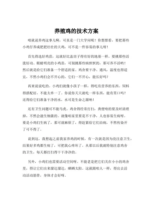 养殖鸡的技术方案