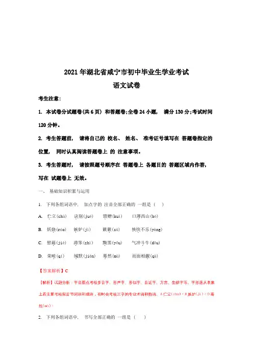 咸宁市中考语文试题(含解析)