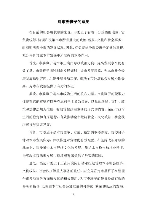 对市委班子的意见