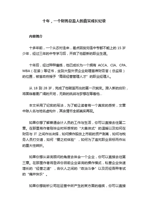十年，一个财务总监人的真实成长纪录