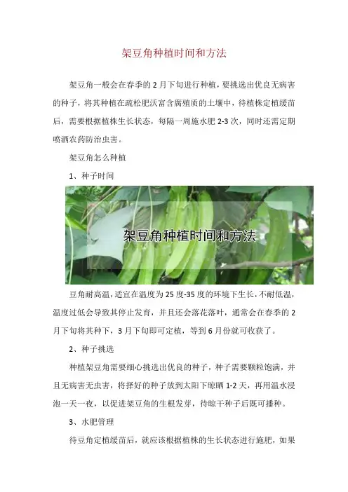 架豆角种植时间和方法