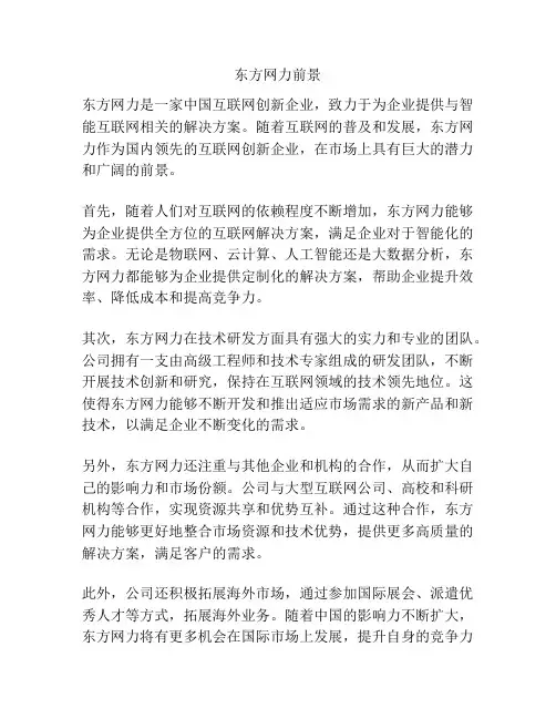 东方网力前景