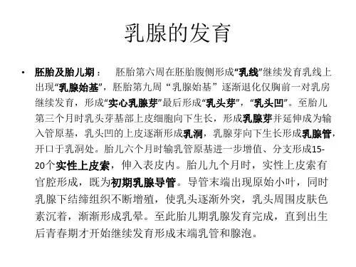 乳腺癌筛查课件