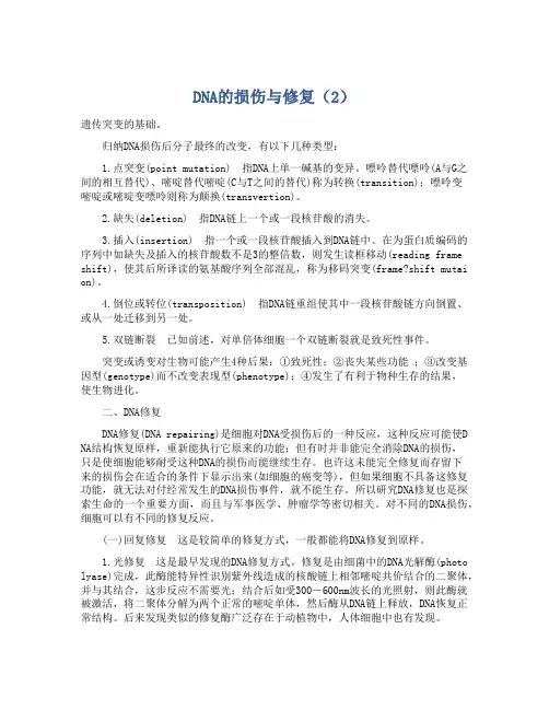 DNA的损伤与修复(2)