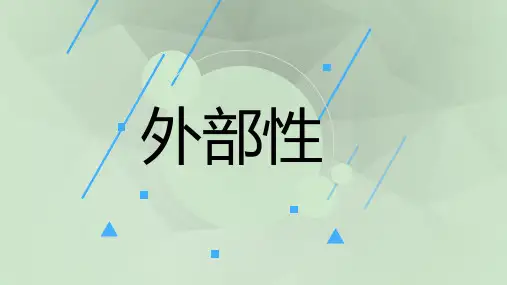 外部性ppt