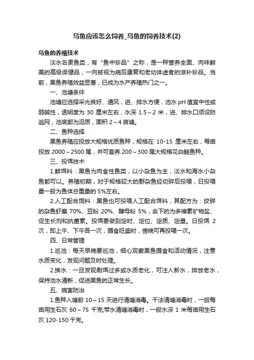 乌鱼应该怎么饲养_乌鱼的饲养技术（2）